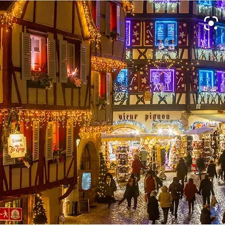 別荘 Privatif Avec Spa, Sauna A Colmar ヴィンツェンハイム