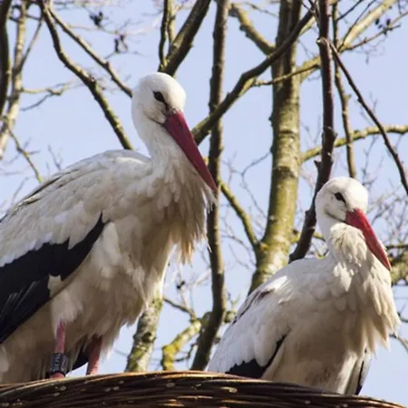 Privatif Avec Spa, Sauna A Colmar ヴィンツェンハイム